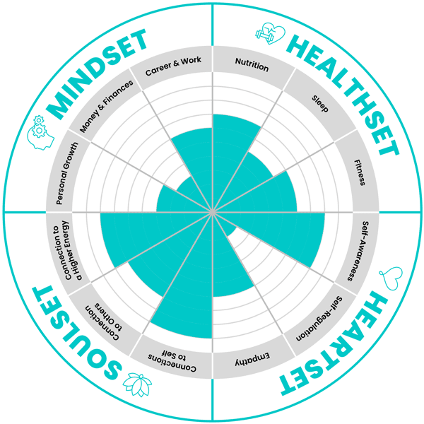 LIVVITY Wellbeing Assessment Wheel