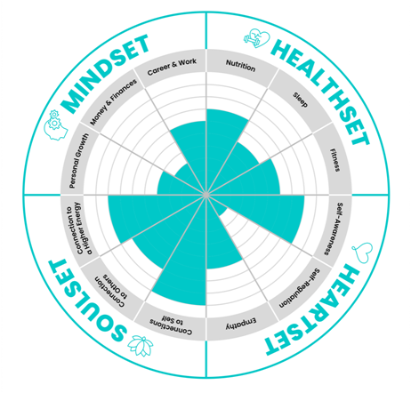 Wellbeing Wheel Assessment - Livvity